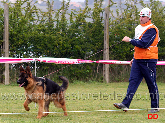 136.jpg - Classe Cuccioloni maschi 3 Otto del Samengio