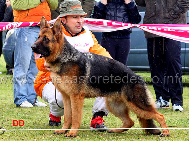 150.jpg - Classe Cuccioloni maschi 1 Bax di Casa Beggiato