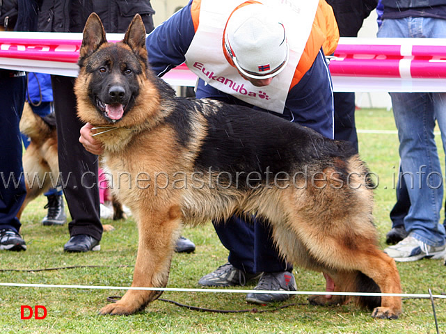 153.jpg - Classe Cuccioloni maschi 3 Otto del Samengio