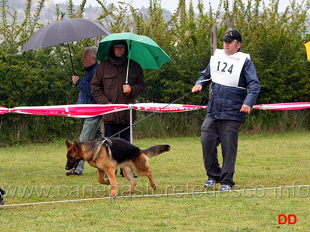 010.jpg - Giovanissime femmine. Partenza secondo gruppo. Asia della Val Sangro