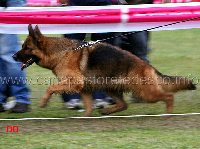 034.jpg - Classe lavoro femmine Blanka della Gens Pontina