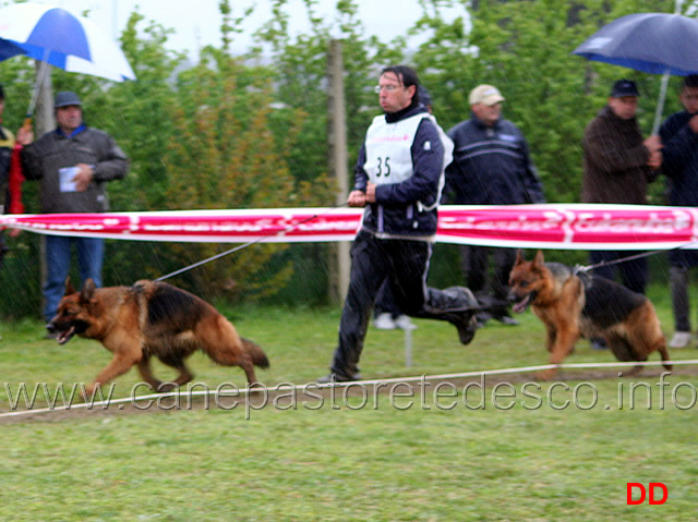 048.jpg - Classe lavoro femmine Blanka della Gens Pontina e Guia dei Colli di Uzzano