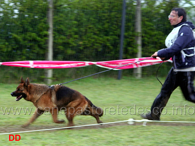 049.jpg - Classe lavoro femmine Blanka della Gens Pontina