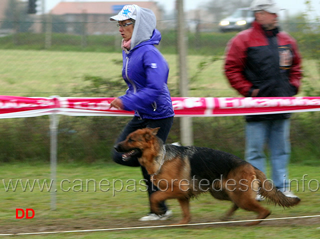 057.jpg - Classe lavoro femmine  Guia dei Colli di Uzzano con Andrea Zimerhaklova al fuss