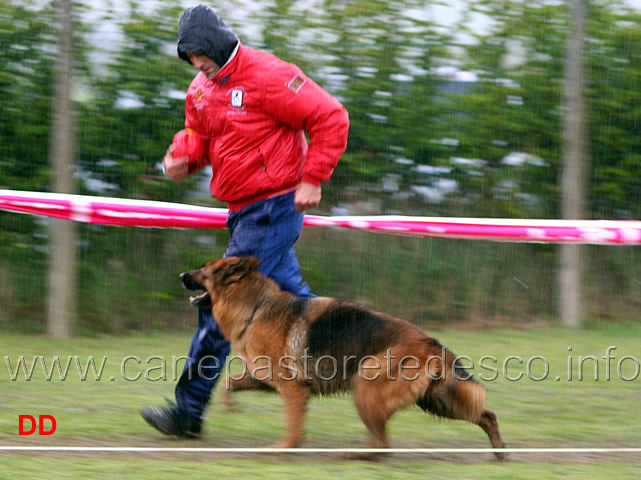 058.jpg - Classe lavoro femmine Blanka della Gens Pontina con Marco Loseto