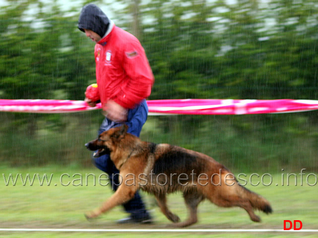 060.jpg - Classe lavoro femmine Blanka della Gens Pontina con Marco Loseto