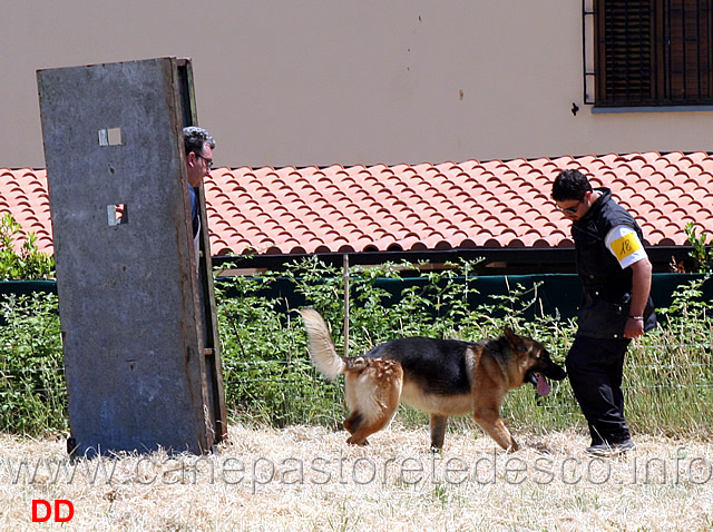 fabio-zernich-con-reza-della-cascina-vecchia-IPO1-06.jpg - Fabio Zernich con Reza della Cascina Vecchia IPO1 fase C