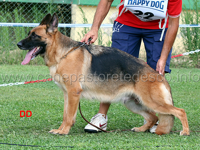 8ecc-tracy-degli-iapigi.jpg - Lavoro femmine 8 Eccellente Tracy degli Iapigi 