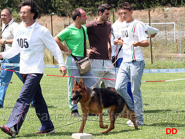 cucciolone-femmine-bonny-di-casa-piellier.jpg - Cucciolone femmine Bonny di Casa Piellier