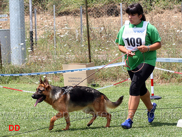 cucciolone-femmine-ina-del-catone.jpg - Cucciolone femmine Ina del Catone