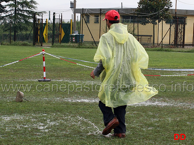 giove-pluvio-04.jpg - Giove Pluvio colpisce ancora.Olimpio Ciciriello affronta le pozzanghere indomito 