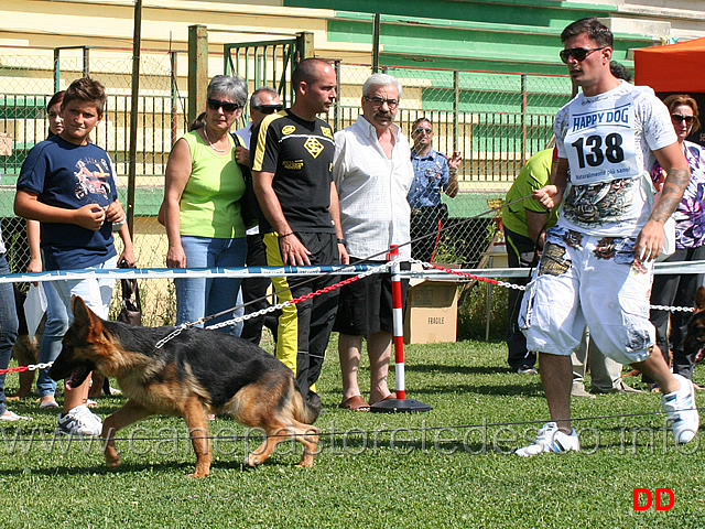 juniores-femmine-dea-di-casa-raimondo.jpg - Juniores femmine. Dea di Casa Raimondo