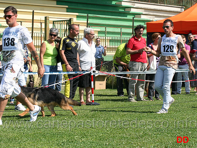 juniores-femmine-dora-di-casa-raimondo.jpg - Juniores femmine. Dora di Casa Raimondo 