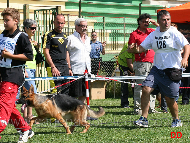 juniores-femmine-hera-della-val-sangro.jpg - Juniores femmine. Hera della Val Sangro 