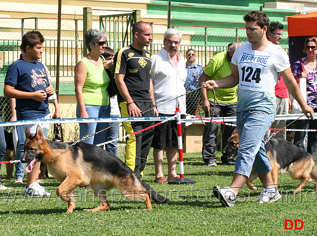 juniores-femmine-ira-della-val-sangro.jpg - Juniores femmine. Ira della Val Sangro