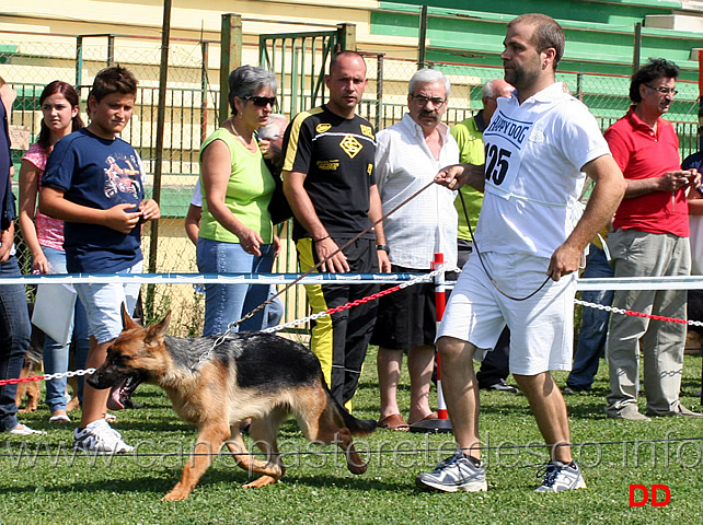 juniores-femmine-irussian-della-val-sangro.jpg - Juniores femmine. Irussian della Val Sangro