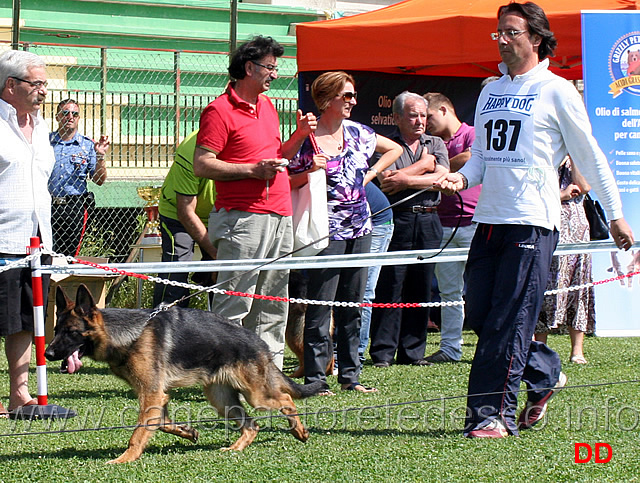 juniores-femmine-lena-di-camporeale.jpg - Juniores femmine. Lena di Camporeale