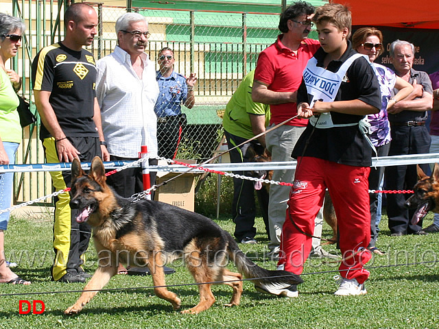 juniores-femmine-musa-del-settimo-giorno.jpg - Juniores femmine. Musa del Settimo Giorno