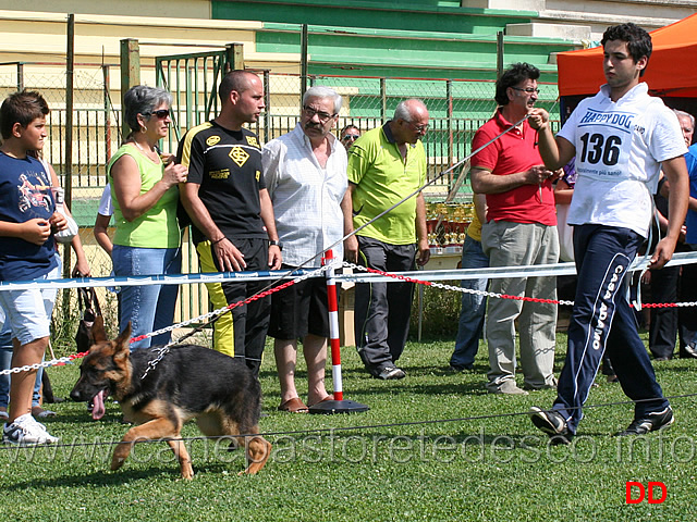 juniores-femmine-zia-delori.jpg - Juniores femmine. Zia Delori 