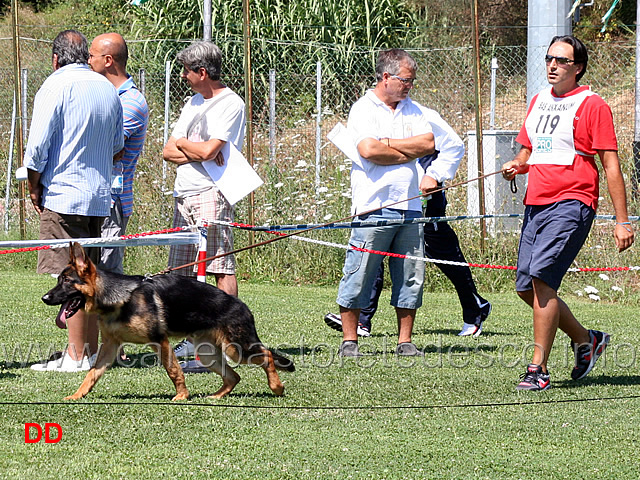 juniores-maschi-dankan-delle-tamerici-salmastre.jpg - Juniores maschi. Dankan delle Tamerici Salmastre