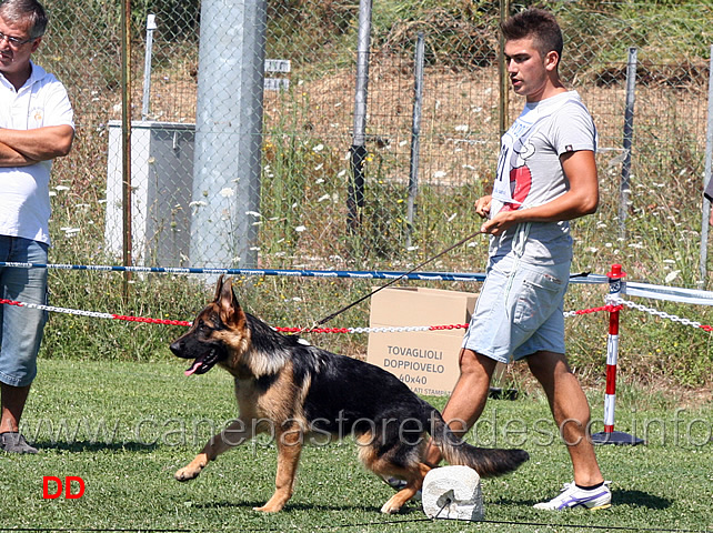 juniores-maschi-gargo-di-cortecorona.jpg - Juniores maschi. Gargo di Corte Corona