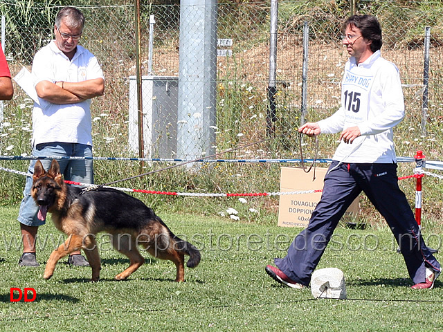 juniores-maschi-haron-della-val-sangro.jpg - Juniores maschi. Haron della Val Sangro