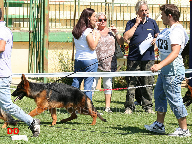 juniores-maschi-kevin-di-casa-schwarz.jpg - Juniores maschi. Kevin di Casa Schwarz