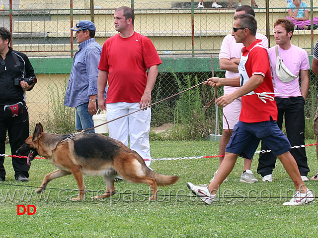 lavoro-femmine-tracy-degli-iapigi.jpg - Lavoro femmine Tracy degli Iapigi 