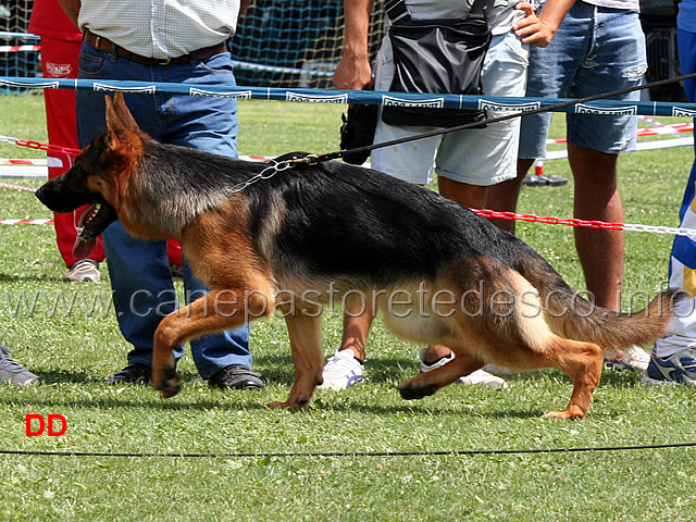 margot-02.jpg - Margot