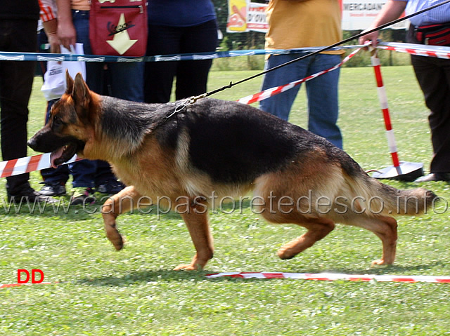 paco-degli-achei-02.jpg - Paco degli Achei 