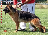 clea-dei-monti-della-laga-1mp-juniores-femmine