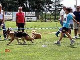 cucciolone-femmine-ambra