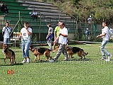 giovani-femmine-giada-di-casa-vizzato-lea-valle-dei-rovi-etna-dell-appio