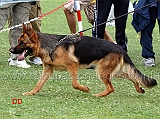 uva-del-rione-antico-03