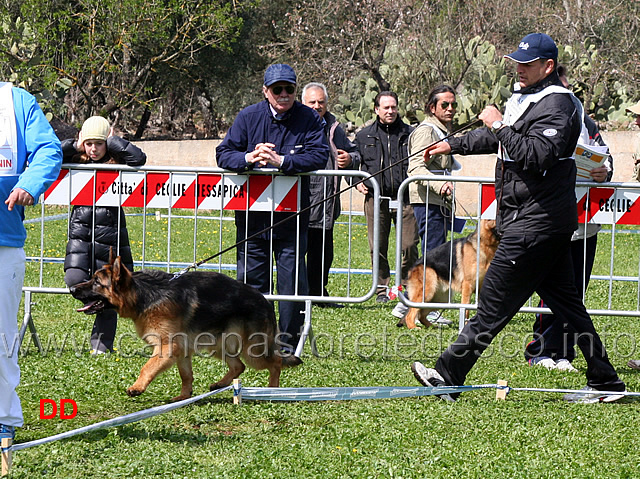 bax.jpg - Classe Cuccioloni maschi Bax