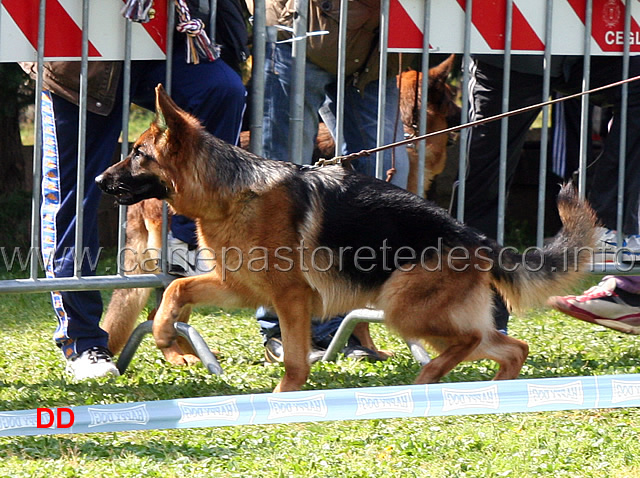 bella-della-gens-pontina-02.jpg - Bella della Gens Pontina