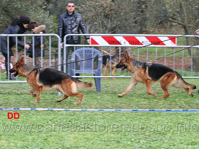 biene-frutteto-e-kelli-delori-03.jpg - Bine del Frutteto e Kelli Delori