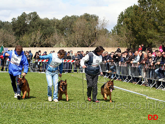 cucciolone-femmine.jpg - Vega del Rione Antico, Stella vom Grafenbrunn e Sally di Catacium
