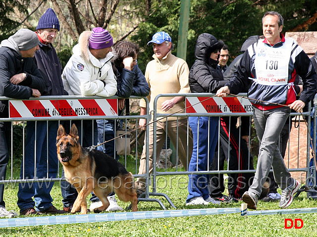 dawa-dell-isolotto.jpg - Classe Cucciolone femmine Dawa dell'Isolotto