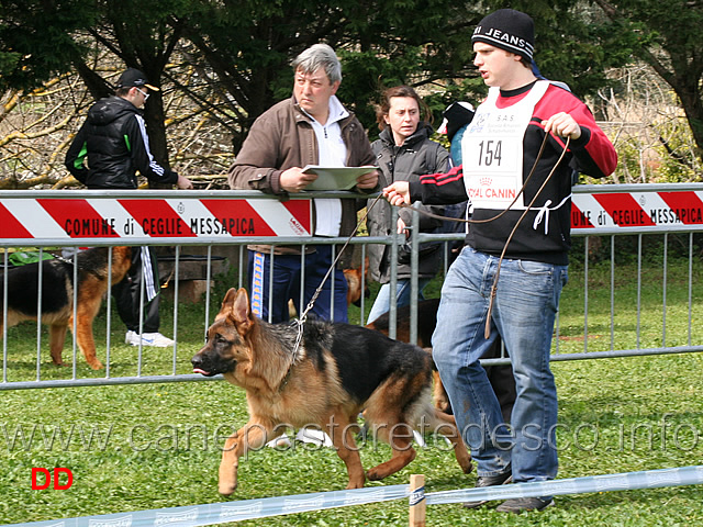 dorian-team-gaudi.jpg - Classe Juniores maschi Dorian Team Gaudi