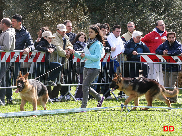 fido-e-vax-ca-de-pace.jpg - Fido e Vax di Ca' de' Pace