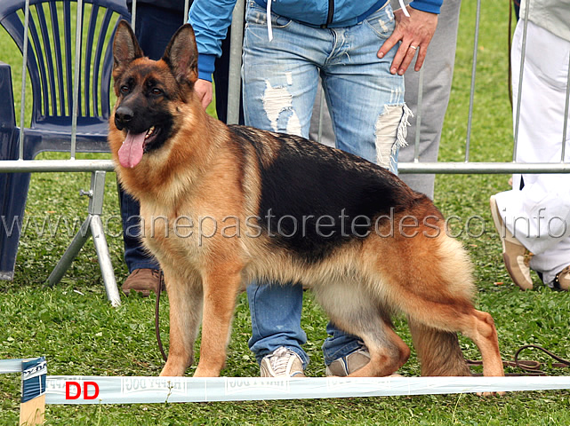 gerry-val-ira-07.jpg - Gerry Val Ira 2 MB Giovani femmine