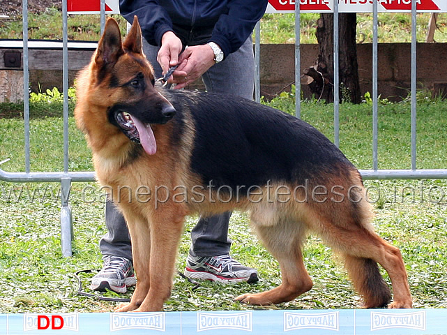 jason-del-colle-verde-04.jpg - Jason del Colle Verde 5 MB Giovanissimi maschi