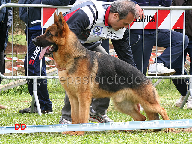 jason-del-colle-verde-05.jpg - Jason del Colle Verde 5 MB Giovanissimi maschi