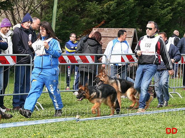 juniores-maschi.jpg - Classe Juniores maschi Bruss Terrae Lupiae e Zycco di Ca' de' Pace