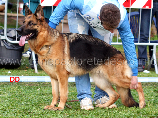 maty-della-gens-pontina-04.jpg - Maty della Gens Pontina 5 Ecc Lavoro femmine