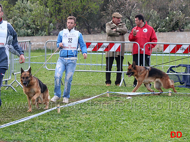 maty-della-gens-pontina-e-honda-dei-lotito.jpg - Lavoro femmine Maty della Gens Pontina, Honda dei Lotito