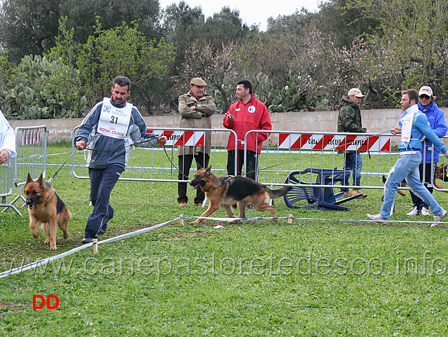 mindy-di-casa-adamo-maty-della-gens-pontina.jpg - Lavoro femmine Mindy di Casa Adamo, Maty della Gens Pontina