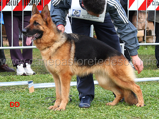 mindy-di-casa-adamo.jpg - Mindy di Casa Adamo 6 Ecc Lavoro femmine