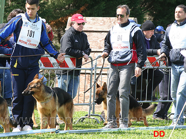 nene-groywald-e-nelli.jpg - Giovanissime femmine Nene Groywald e Nelli